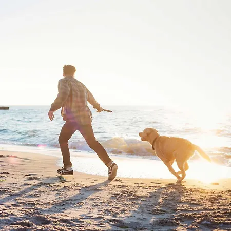 Boddenglueck Mit 2 Schlafzimmer Und Ostbalkon فاستروم