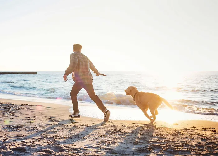 Boddenglueck Mit 2 Schlafzimmer Und Ostbalkon Wustrow (Fischland)